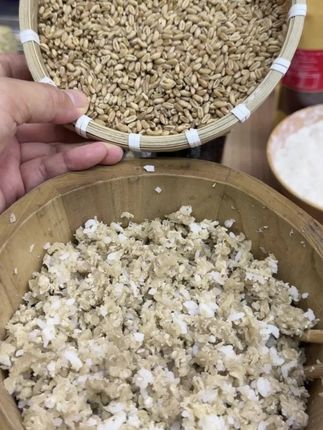 贵州土麦子面粉,做麦颗颗饭,灰面粑粑。#土麦子面粉#小时候味道 #农村美食 #天然无添加#老人孩子放心吃 @抖音小助手 @DOU+好生意