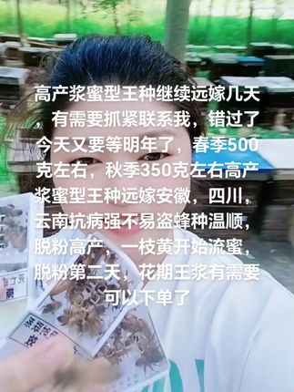 高产浆蜜型王种继续远嫁几天,有需要抓紧联系我,错过了今天又要等明年了,春季500克左右,秋季350克左右高产浆蜜型王种远嫁安徽,四川,云南抗病强不易盗蜂种温顺,脱粉高产,一枝黄开始流蜜,脱粉第二天,花期王浆有需要可以下单了#农村一线蜂农,王浆蜂蜜的一手货源