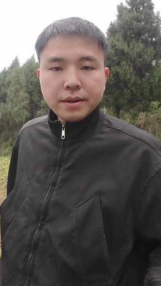 桑园春管第二步,桑树疏芽#小杨的养蚕日记 #新农人计划 #桑树种植 #种桑养蚕 #乡村致富带头人