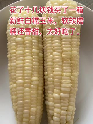 白糯玉米,香香甜甜,软软糯糯,太好吃了,关键还便宜,十几块钱得一大箱,太划算了。#白糯玉米 #新鲜采摘 #软软糯糯 #香香甜甜 #农产品