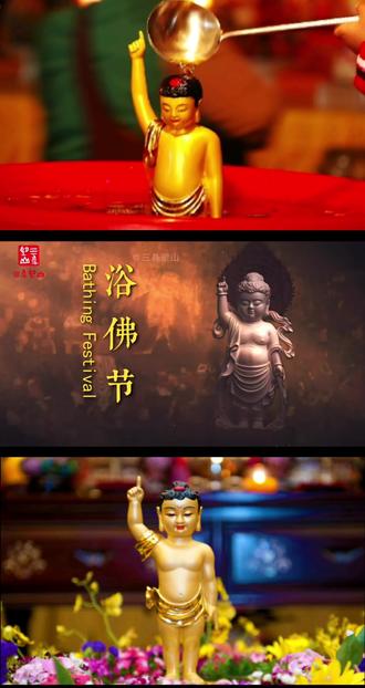 #浴佛节 农历四月初八是佛诞日,又称浴佛节。相传,佛祖释迦牟尼诞生后,面向四方各行走七步,每走一步,足下生出一朵莲花。然后一手指天一手指地,说道:“天上天下,唯我独尊。” 此时园中百花齐放,天空出现九条龙,由龙口吐出香水为佛祖沐浴,故佛诞日又称“浴佛节”。#佛教故事