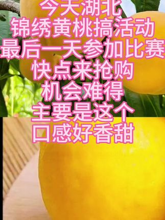 #湖北锦绣黄桃 #今天最后一天 #男人姐 @DOU+小助手 @男人姐【818】数字商船