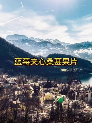 蓝莓夹心桑葚果片即食独立包装酸甜软糯无蔗糖添加