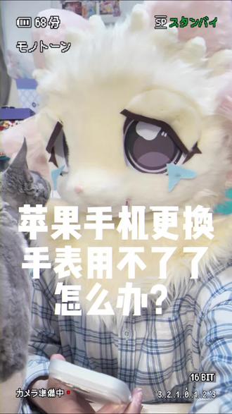 苹果手机更换后手表连不上手机了,微信登不上了怎么办!#苹果手表 #iphone