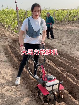 #开沟神器农用工具 #一机多用省时省力省人工 #锄草旋耕开沟起垄回填施肥平地一机多用 #小型开沟机