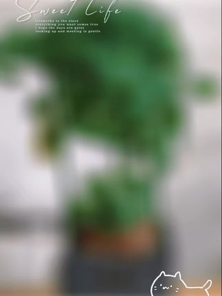 盆栽#绿植 #花卉绿植 #绿植盆栽 #植物