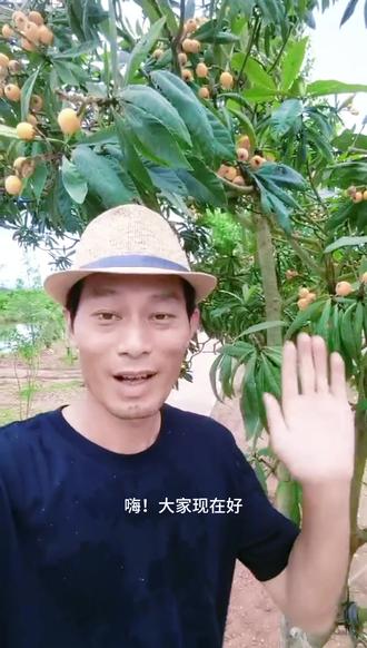 忆儿时偷果.品田园鲜果 ---------
果乐多枇杷临近下市,甜度口感正值最佳
如今随心吃果,这般奢侈倍感惬意
儿时总偷摘别家果子
柚子刺扎身、毛栗刺烫手
越被追赶,越是欢喜
装满瓜果吃到尽兴
如今在果乐多农场
鲜果自由,无需慌张
岁月安然,尽享田园美好
田园果乐多.安心达峰哥
#果乐多农场 #童年回忆 #田园生活 #果实累累 #大丰收 #口感特别好 #果园 #交换你镜头里的夏天