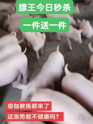 膘王今日一件送一件