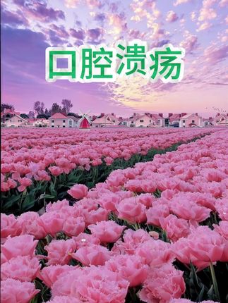 #穿搭#显瘦穿搭#小个子穿搭#夏季穿搭#裤子