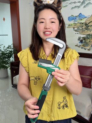 #扳手 #管钳 #五金工具 #好物推荐🔥 #无限回购的宝藏单品