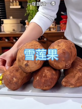 2025年头茬天山雪莲果新鲜上市啦,喜欢吃的赶紧来尝尝鲜吧!#雪莲果成熟了 #脆甜多汁 #现挖现发#雪莲果成熟了 #雪莲果脆甜多汁