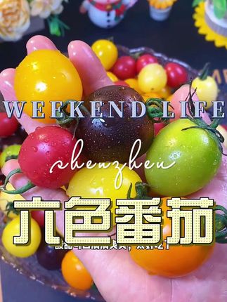 六色番茄 #小番茄 #应季水果 #脆甜多汁 #低糖水果 #超便宜超划算