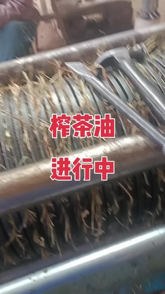 #古法榨油视频
只要镰刀挥的好
韭菜割到老