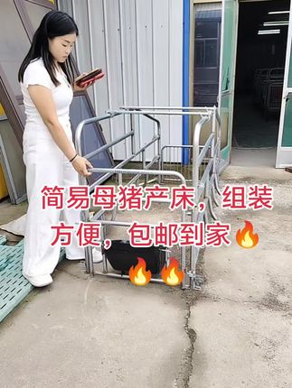 #母猪双体产床 #三农养殖 #养猪