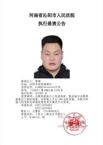 沁阳市人民法院执行悬赏公告(2025年第31期)