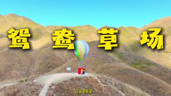 被问爆的柘荣鸳鸯草场最全攻略~离温州2小时
#亲子游玩好去处 #周末去哪儿 #周末vlog #创作者中心 #创作灵感