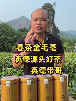 英红九号金毛毫#茶生活 #茶叶 #喝好茶 #今天你喝茶了吗