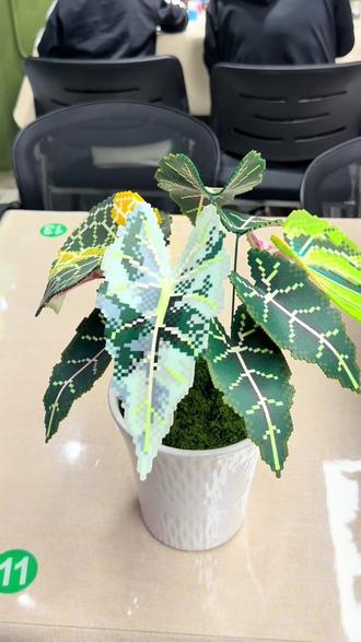 绿植盆栽拼豆教程!! 谁不想拥有一盆人工盆栽呢#热植 #手工diy #拼豆 #哈尔滨