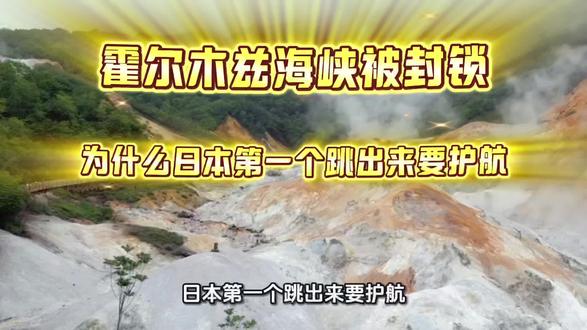 霍尔木兹海峡被封锁,为啥日本第一个跳出来要护航!#国际 #国际新闻 #国际局势 #国际局势分析