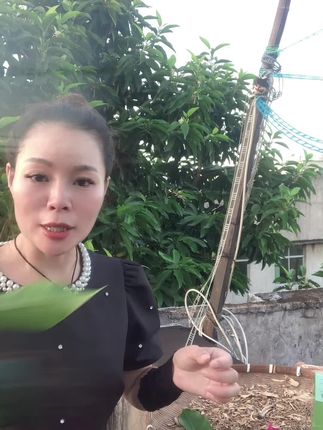 #同城精选 #温州#瑞安#陶山阿娟参茸批发店 #同城推荐