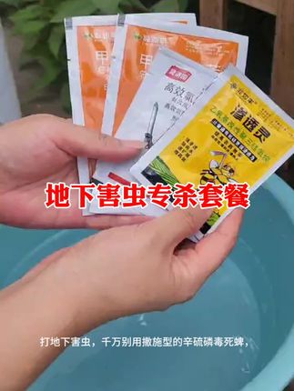 #地下害虫专杀套餐 #叶面喷雾地下灭虫