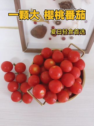 夏天我真的超爱吃这个番茄一口爆汁#樱桃番茄#一颗大#好吃到停不下来
