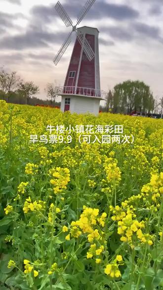 只要9.9元#花海彩田 #周末去哪儿 #周末游玩好去处