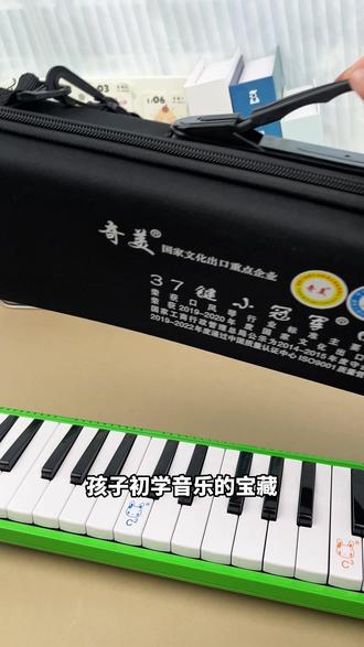 谁家孩子还不会乐器 提前掌握一个乐器 孩子真的会很有信心 !#口风琴 #简易 #一学就会