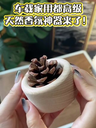 松果扩香本,天然熏香#松果扩香 #天然香薰 #汽车香薰 #好物推荐🔥 #强烈推荐