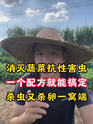 蔬菜害虫怎样打都不能全部消灭,那您一定要试试这个虫卵双杀的配方#蔬菜种植 #农业种植 #高效氯氟氰菊酯 #杀虫剂 #虫害防治