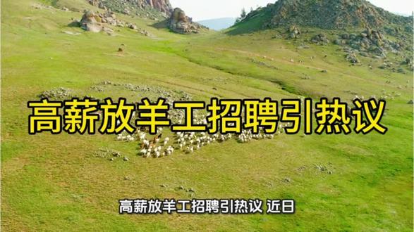 高薪放羊工招聘引热议 #放羊