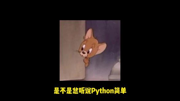 零基础自学Python装饰器 #Python #python基础 #python教学