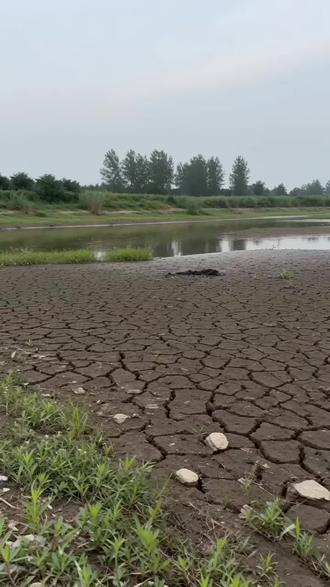 只要给豆包一句话就可以生成一段视频,太强大了