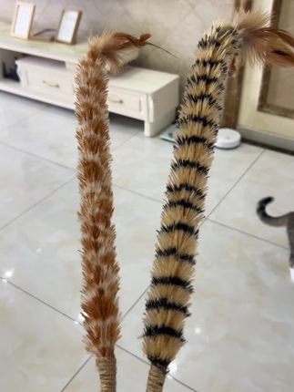 鸡毛掸子逗猫棒到了,小虫子很喜欢!猫咪天生喜欢这种带羽毛的玩具,再加上铃铛的搭配,简直让猫咪爱不释手。养猫人快去冲!
