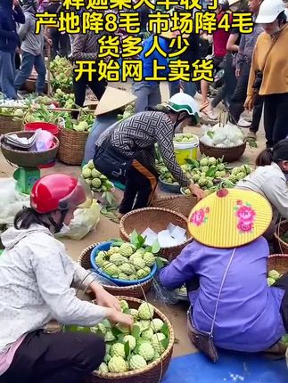 #优质农产品 #口感特别好 #释迦果特别甜 #新鲜采摘