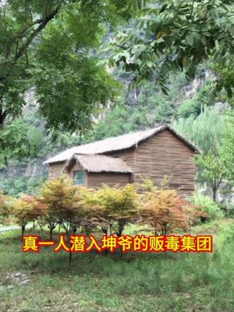 #情感 #缉毒英雄#卧底警察 #生死暗号#边境缉毒实录 真实案例改编