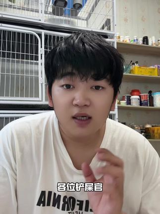 #萌宠 告别猫咪发情期闹腾,这款忘情片值得一试!#养猫新手 #新手养宠 #萌宠好物 #宠物知识