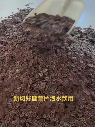 #双阳鹿乡 #直销直供#批发 养殖梅花鹿基地##有需要的联系我