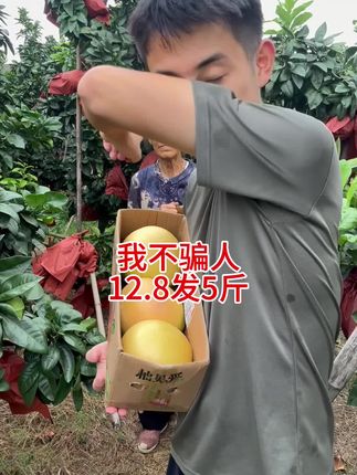 #红心柚
