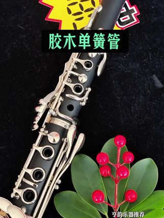 胶木单簧管#每日分享 #乐器演奏 #原创视频