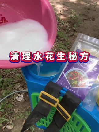 #水花生怎么除 #