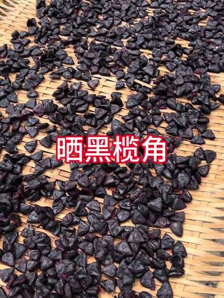 黑榄角配白粥#黑榄角