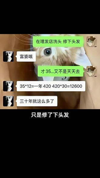 被许多人反感的"富婆回复"是啥,又是怎么变为梗的? #富婆哦#抽象