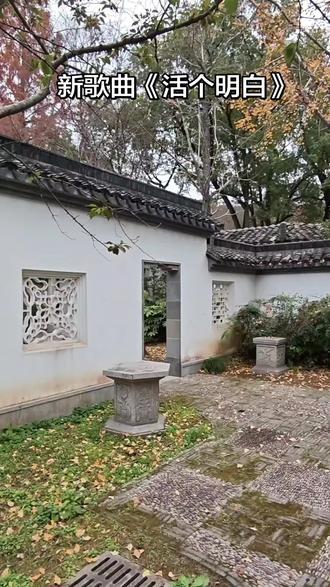 #新歌曲活个明白#原创视频 《苏州上方山国家森林公园》@城里闲人 #手机摄像