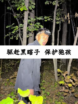 巡护驱赶途中遇到了土匪哥和小土匪#傻狍子 #野生动物零距离 #保护动物 #神奇动物在抖音