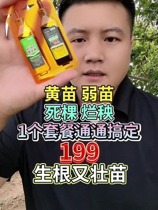 黄苗弱苗 死棵烂秧 1个套餐通通搞定 199生根又壮苗 #农业种植 #三农 #种植技术 #增产增收才是硬道理 #助力三农