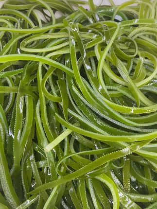 整箱20包(国家地标)霞浦压缩海带丝真空包装烘干圆饼凉拌海带丝干