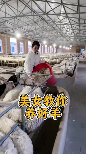 #养殖 #养殖好帮手 #好东西一起分享 #自繁自养 #养殖技术交流