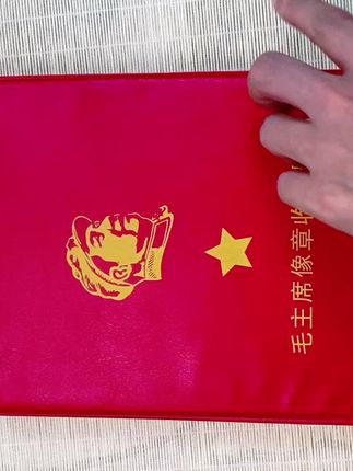 #伟人 #像章 #徽章 #收藏品 #纪念章