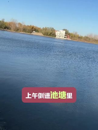 #水产养殖 #水产养殖技术 #水产人 #四大家鱼养殖